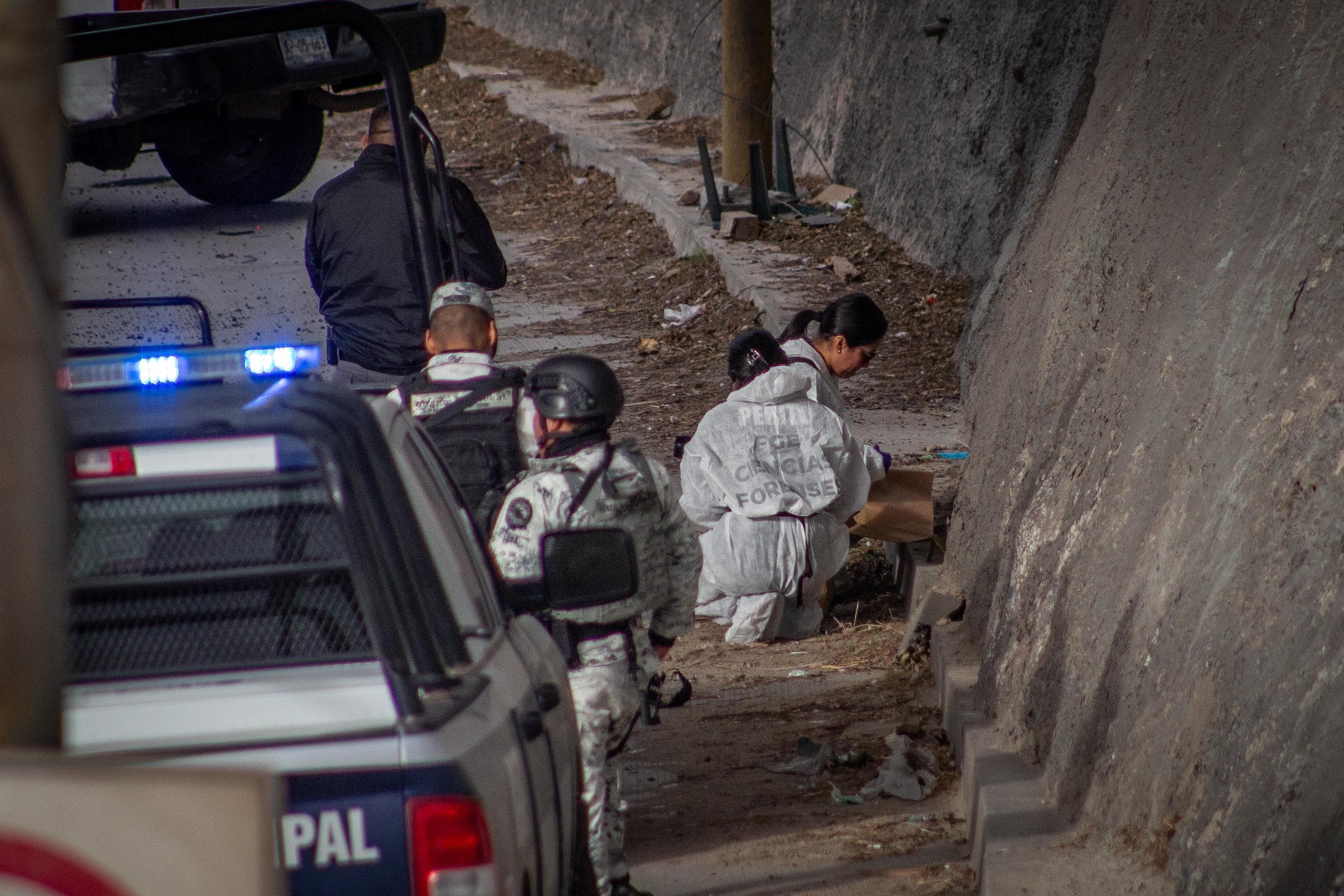 Foto: Border Zoom/Baja News