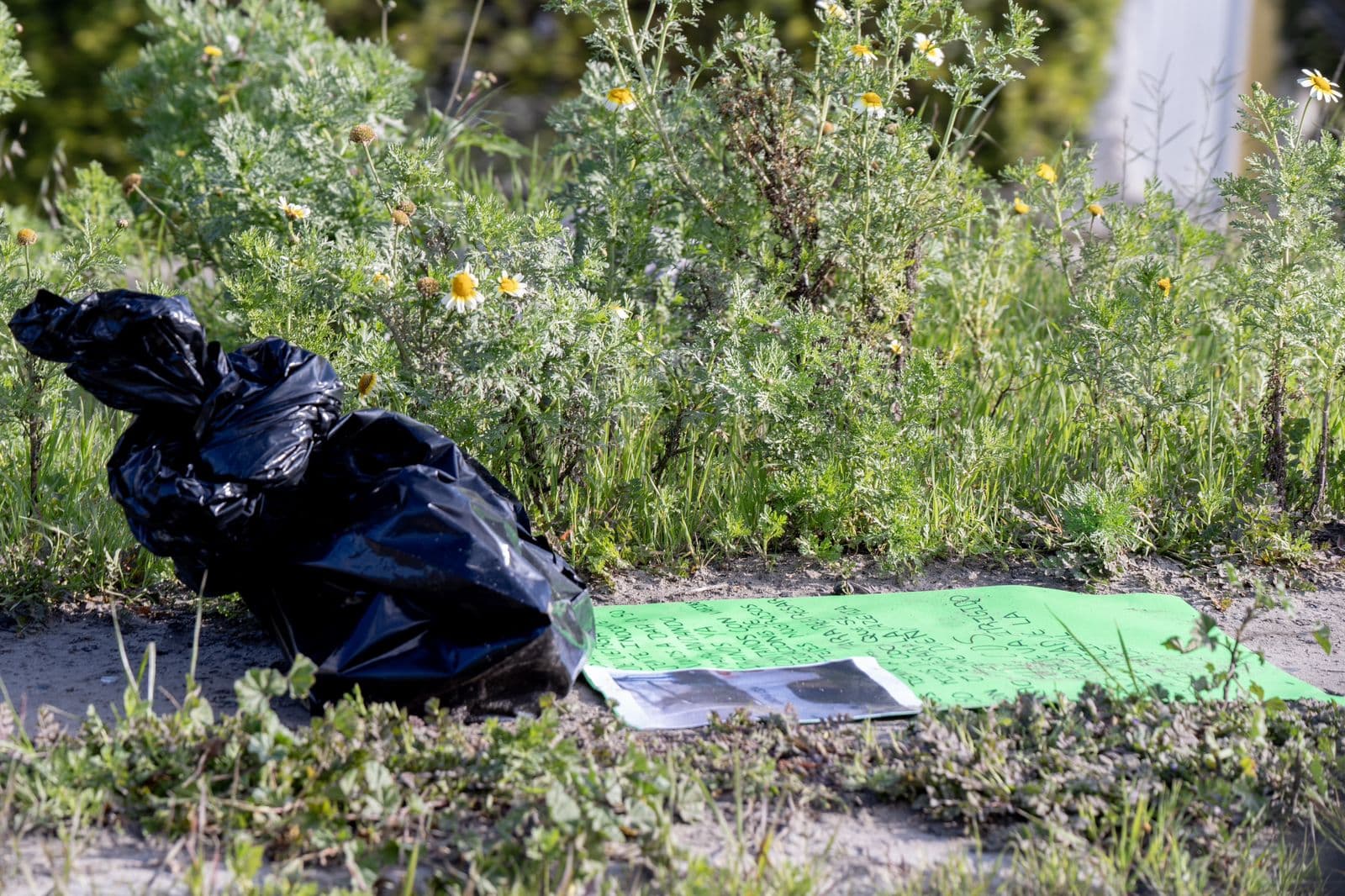 Foto: Border Zoom/Baja News