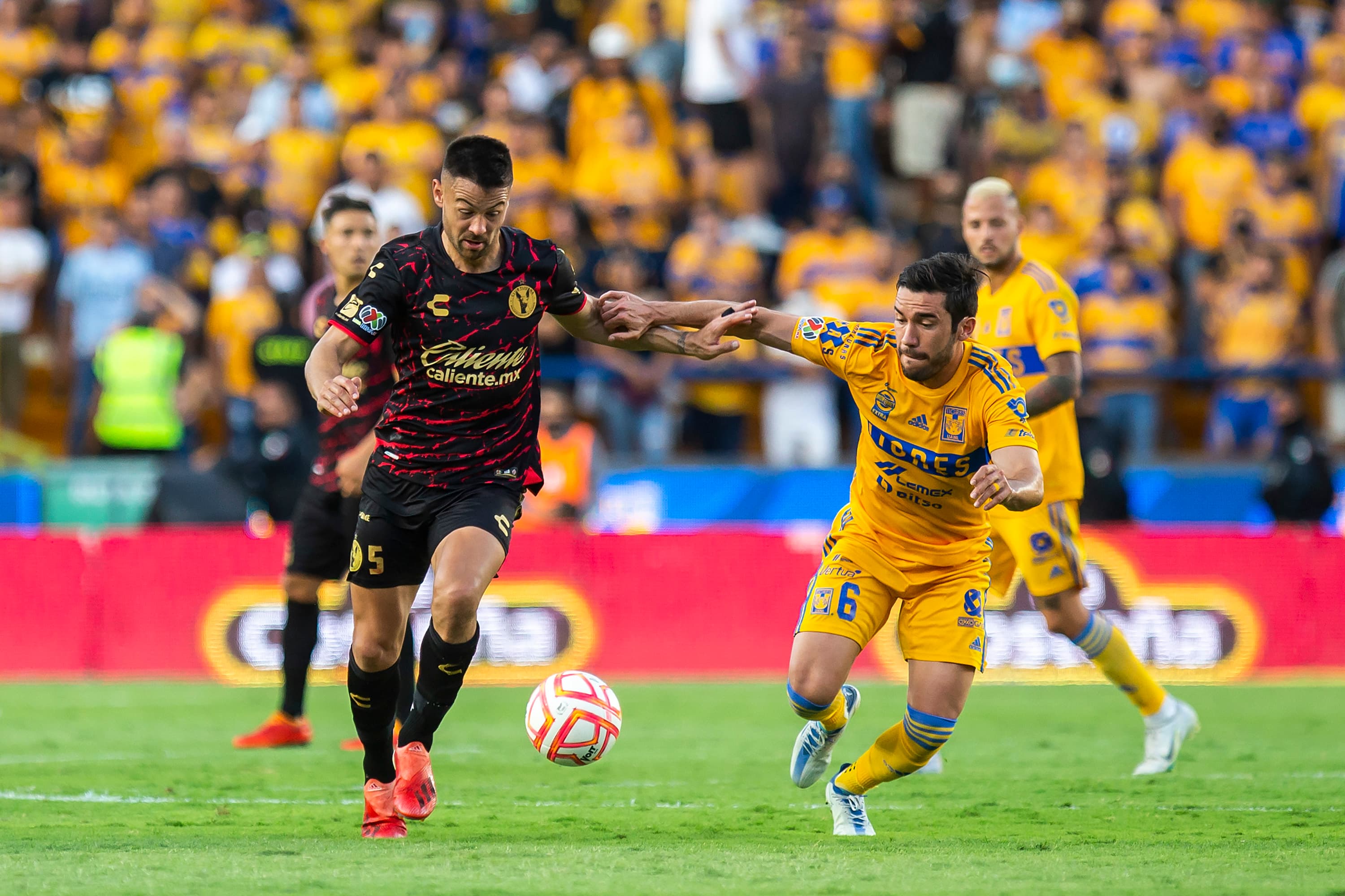 Imagen cortesía de Club Tijuana