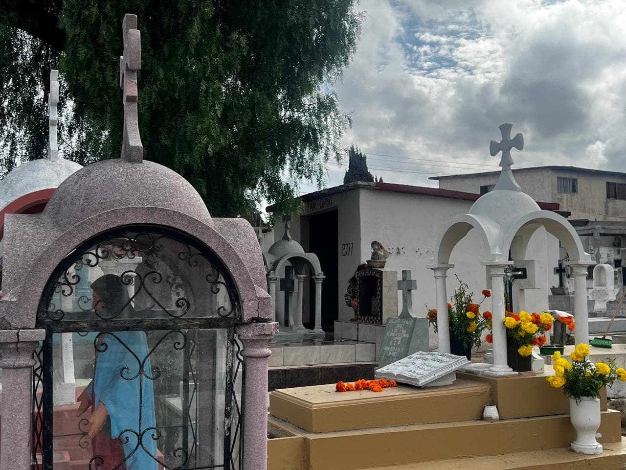 Imagen Cortesía