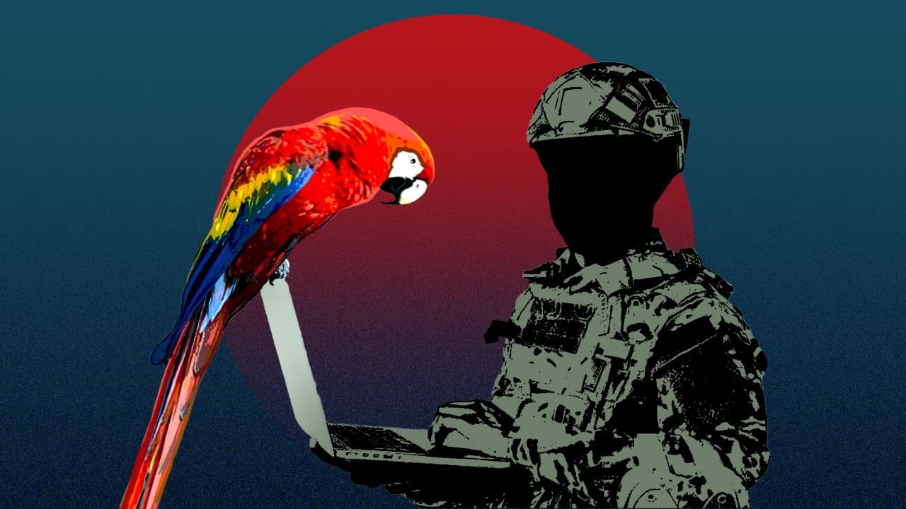 Imagen Web