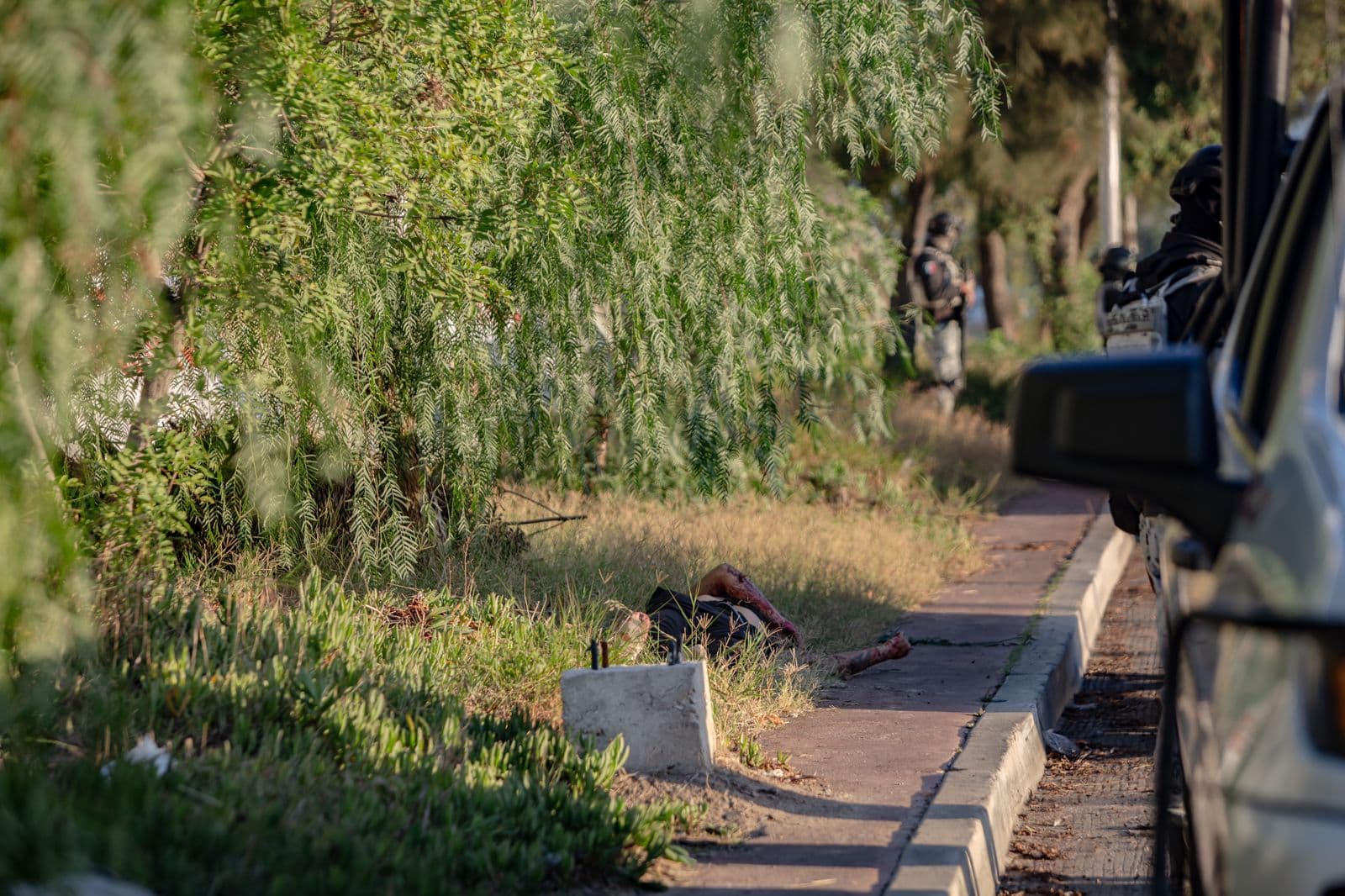 Foto: Border Zoom
