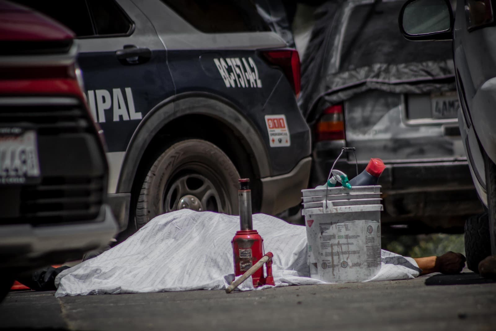 Foto: Border Zoom/Baja News