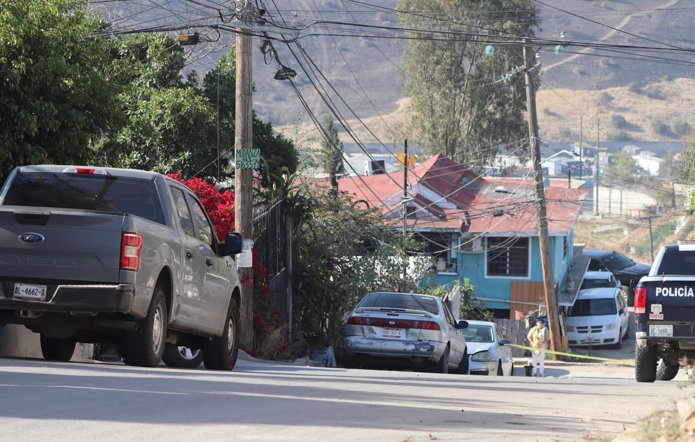 Fotos: Border Zoom