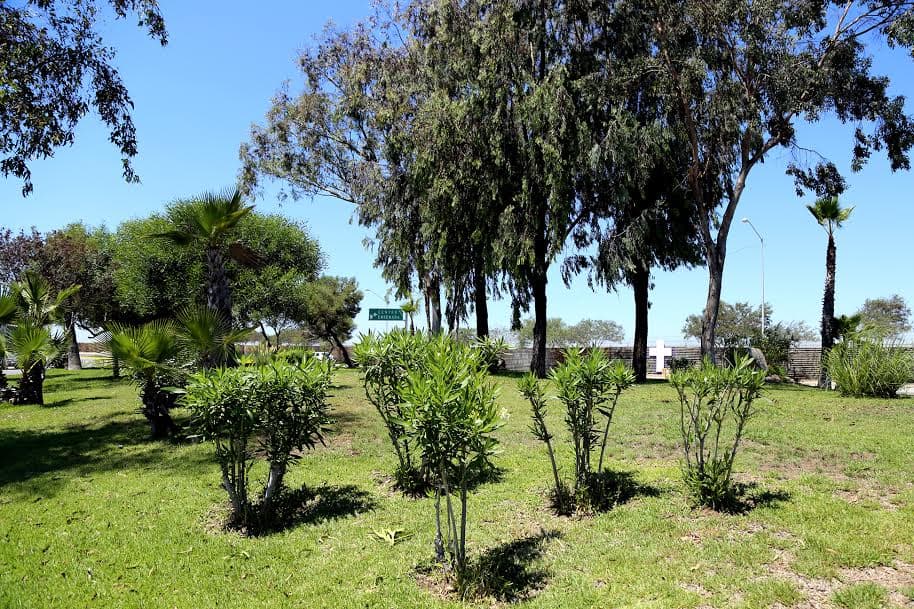Foto: Cortesía