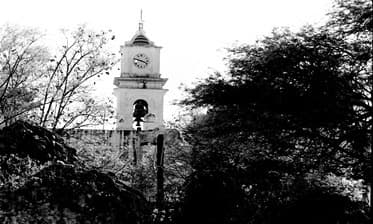 Foto: Cortesía