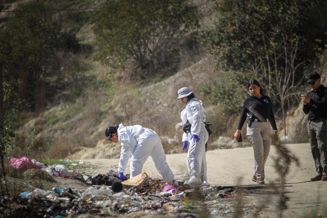 Foto: Border Zoom