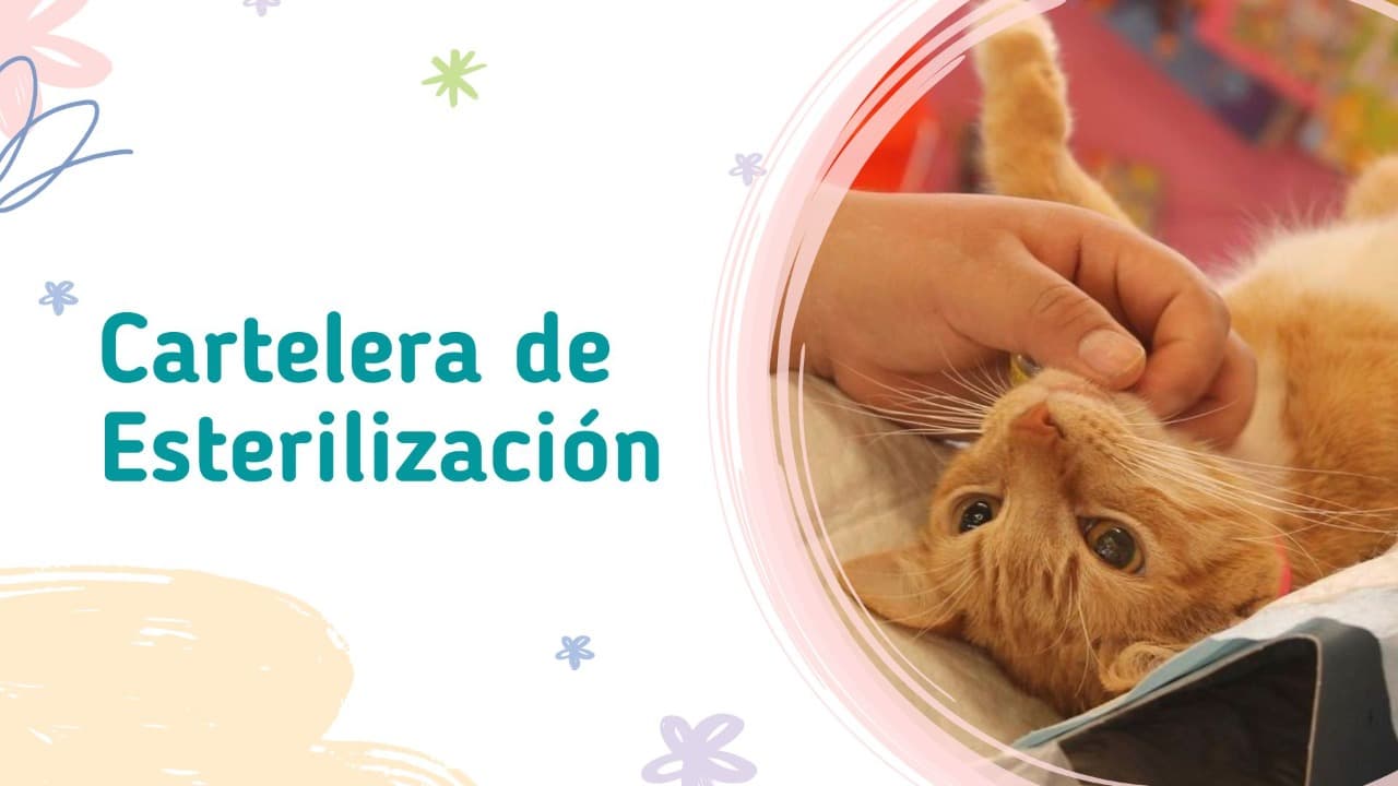 FOTO: Montserrat Peraza