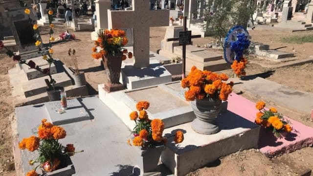 Foto: Baja News
