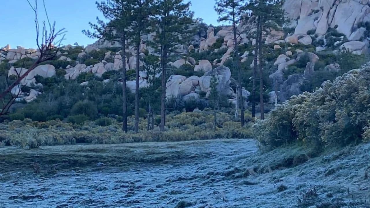 Foto: Cortesía