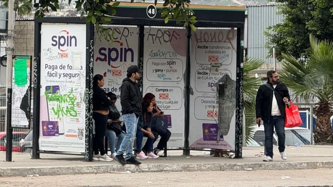 Foto: Baja News