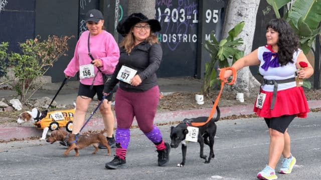 Foto: Baja News