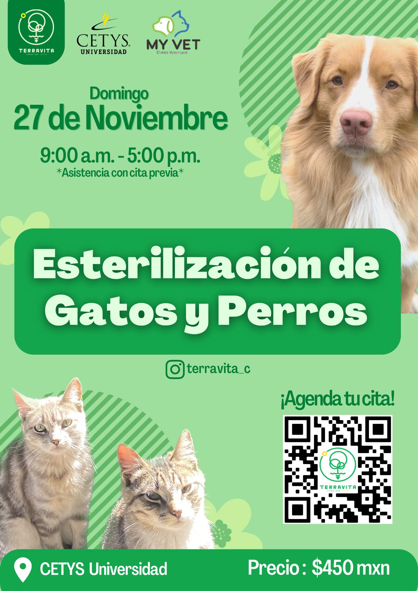 Próximas campañas de esterilización en Baja California