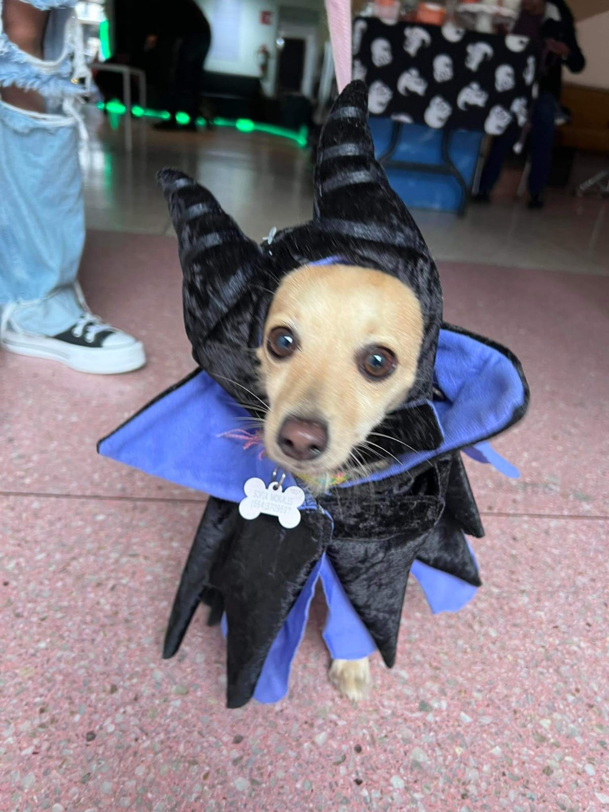 Una mini Malefica