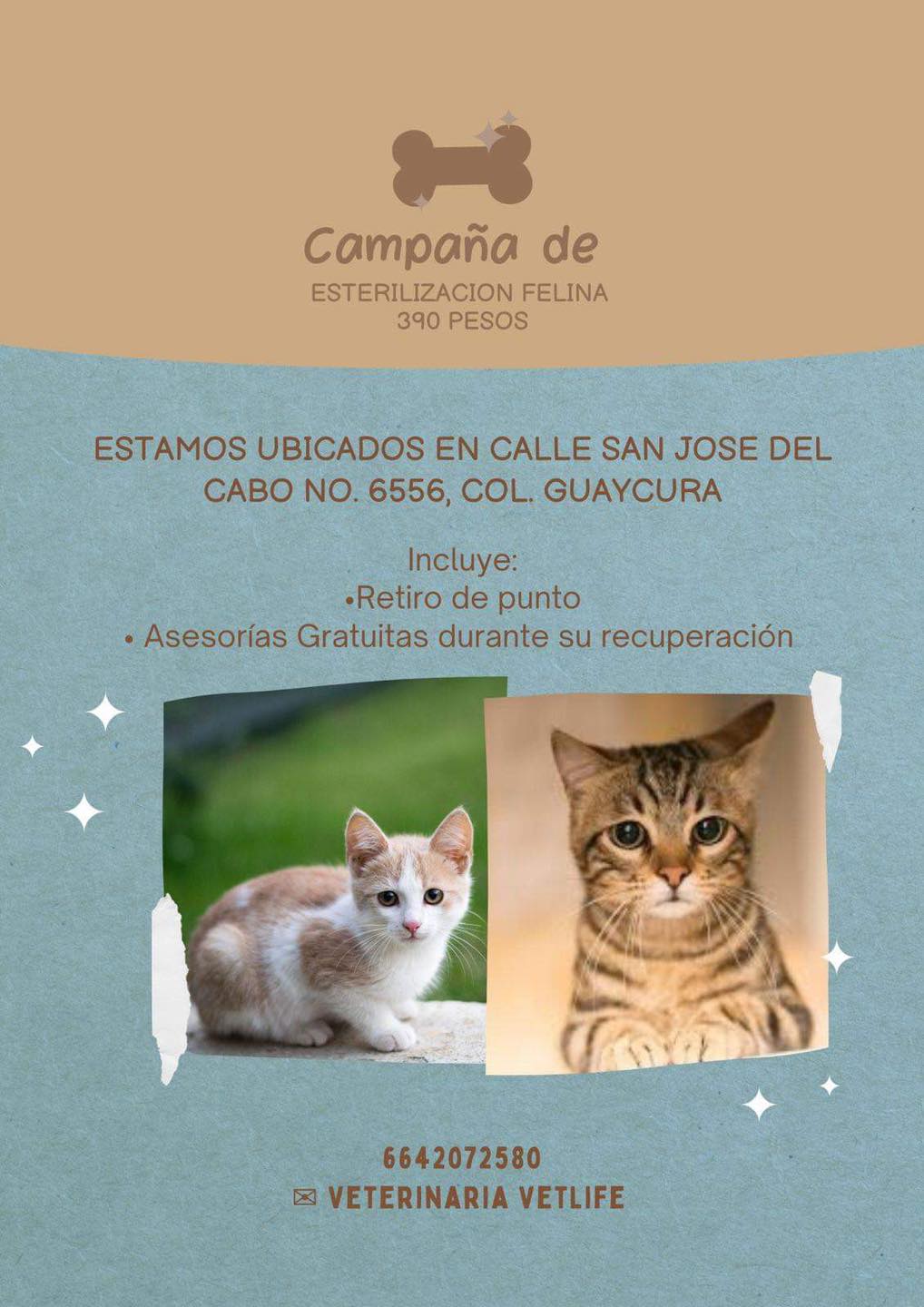 CARTELERA DE ESTERILIZACIÓN