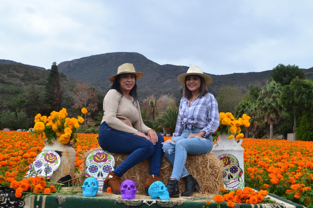 Stan de fotos con flores de cempasúchil