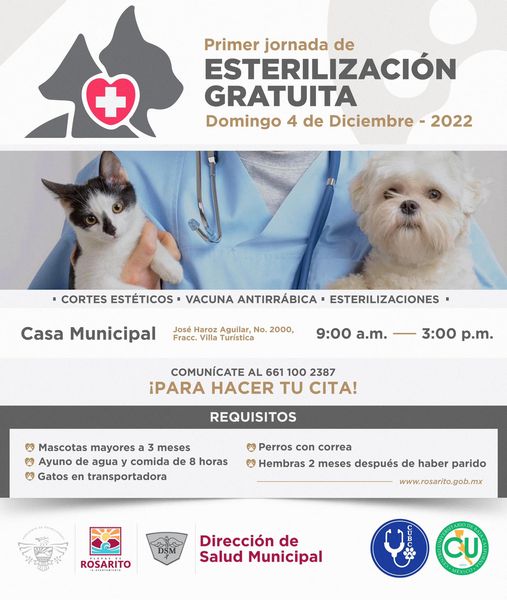 CARTELERA DE ESTERILIZACIÓN