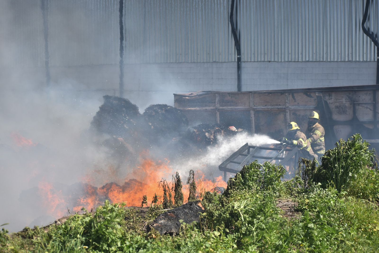 incendio en los pinos