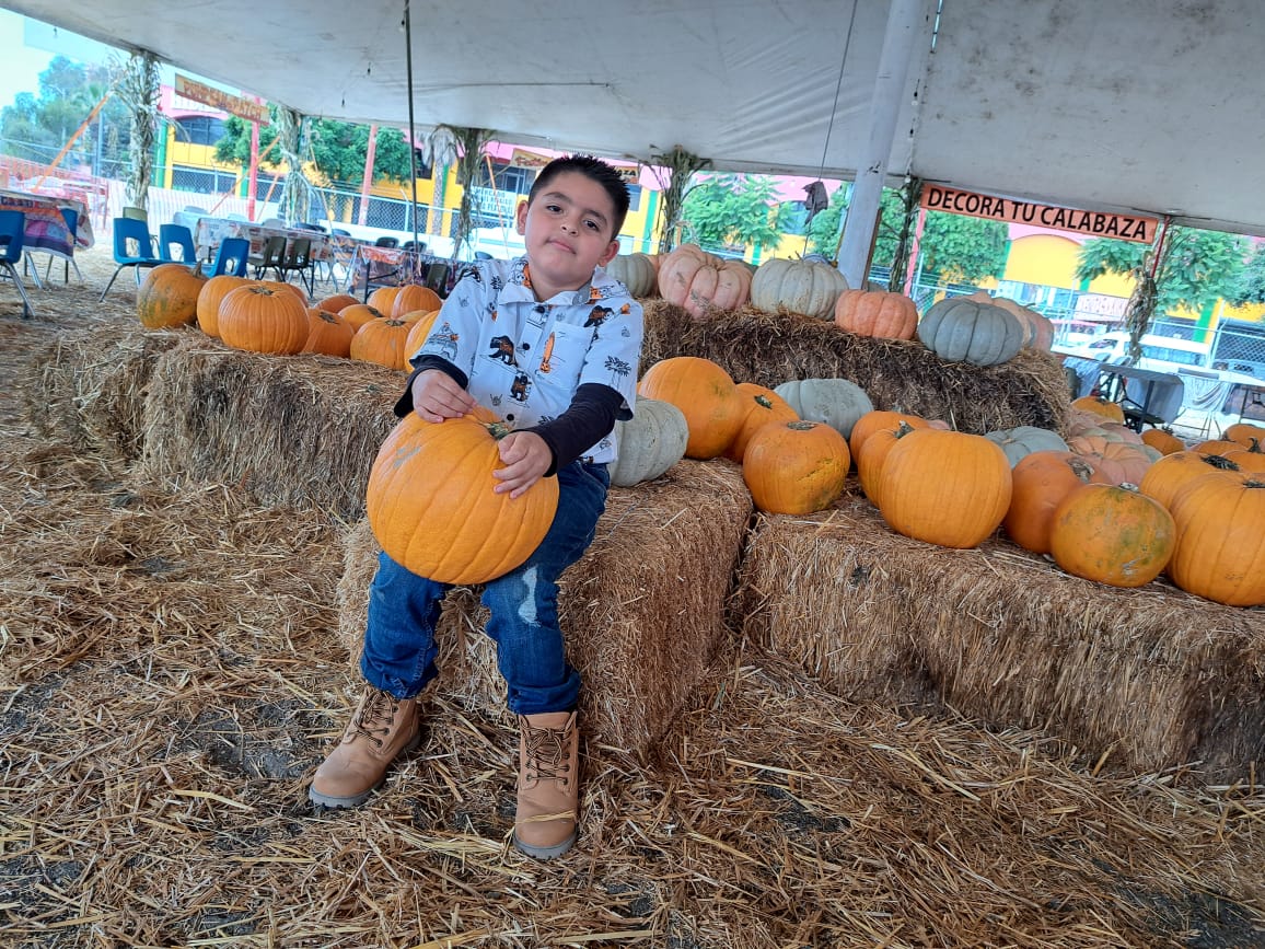 El festival ofrece las herramientas para darle forma a la cara de la calabaza