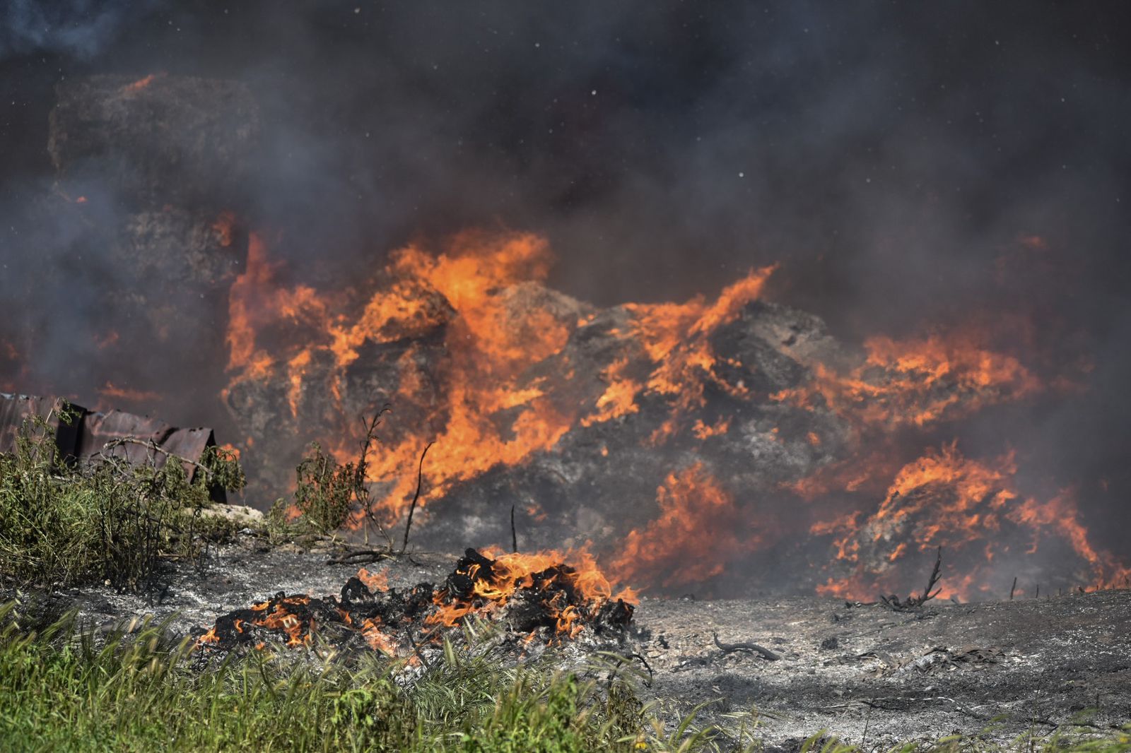 incendio en los pinos