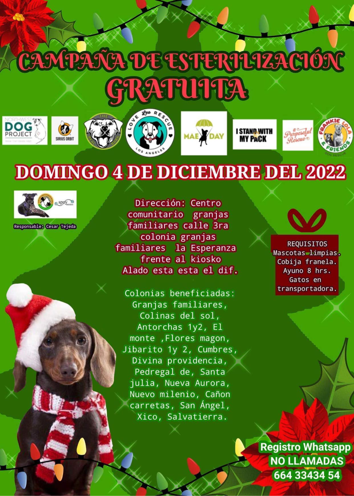 CARTELERA DE ESTERILIZACIÓN