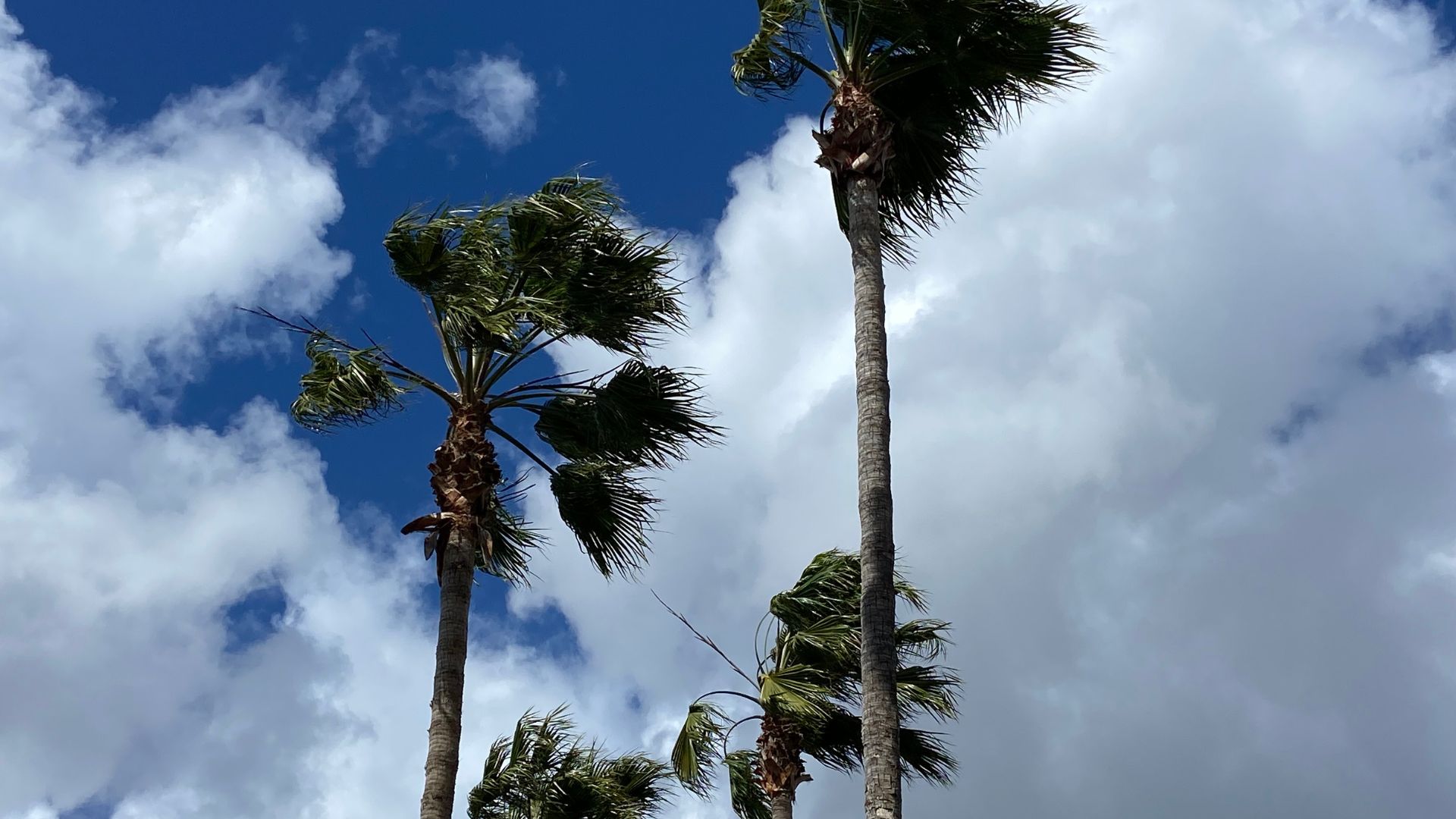 Several Schools in San Diego county close due to strong winds and power outages