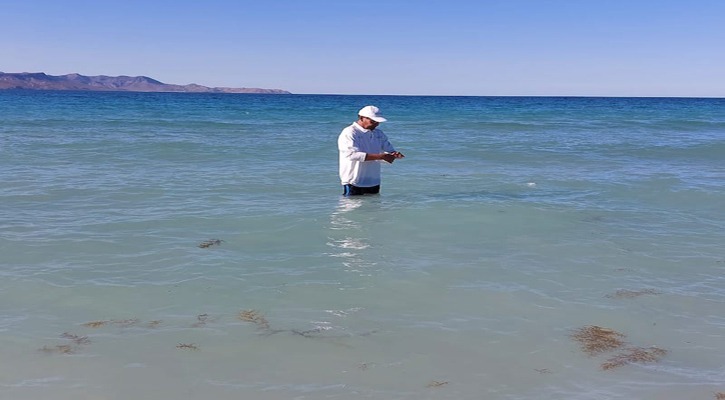 Condiciones sanitarias óptimas en playas de La Paz