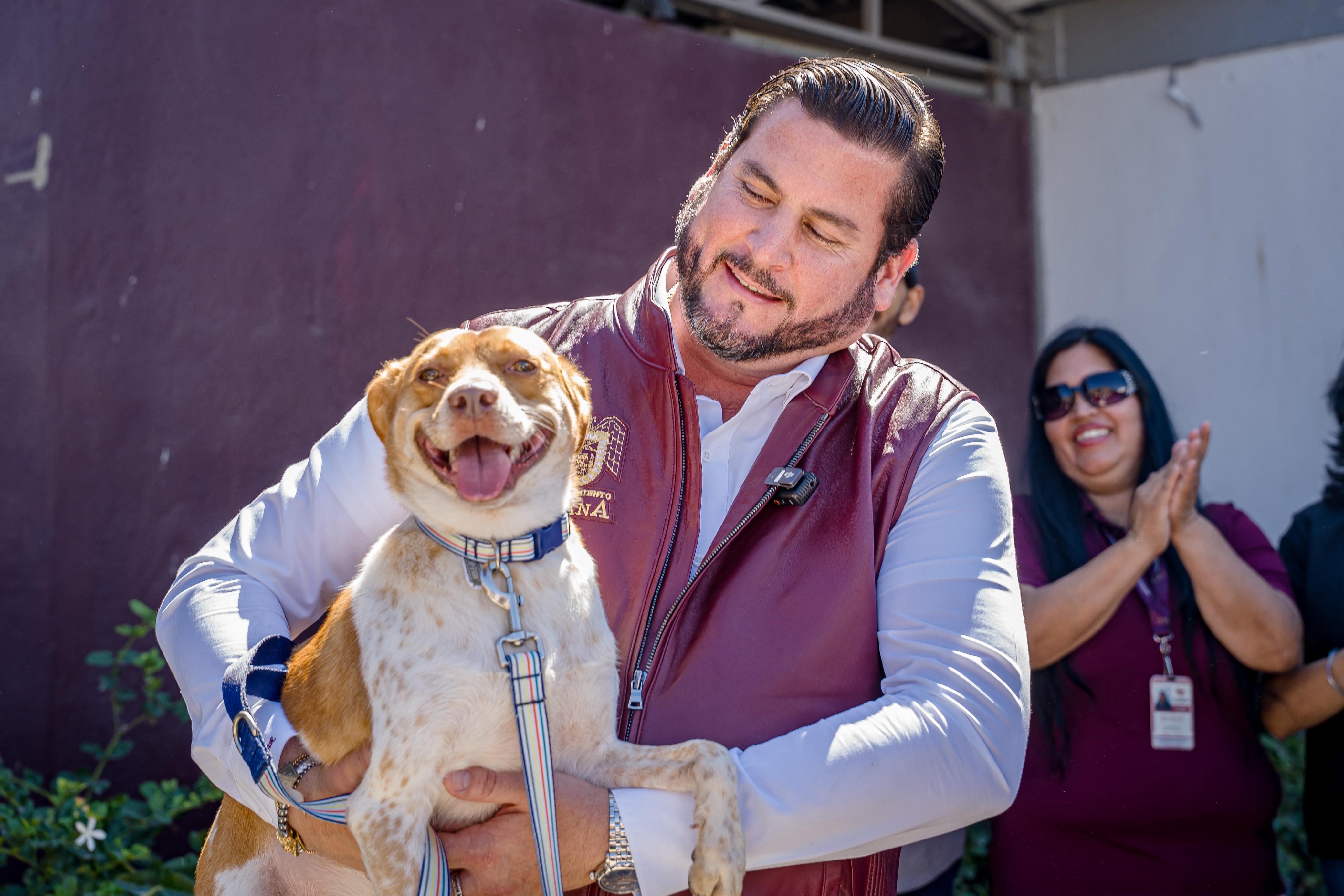 Tijuana amplía atención animal con esterilizaciones, adopciones y nuevas unidades móviles