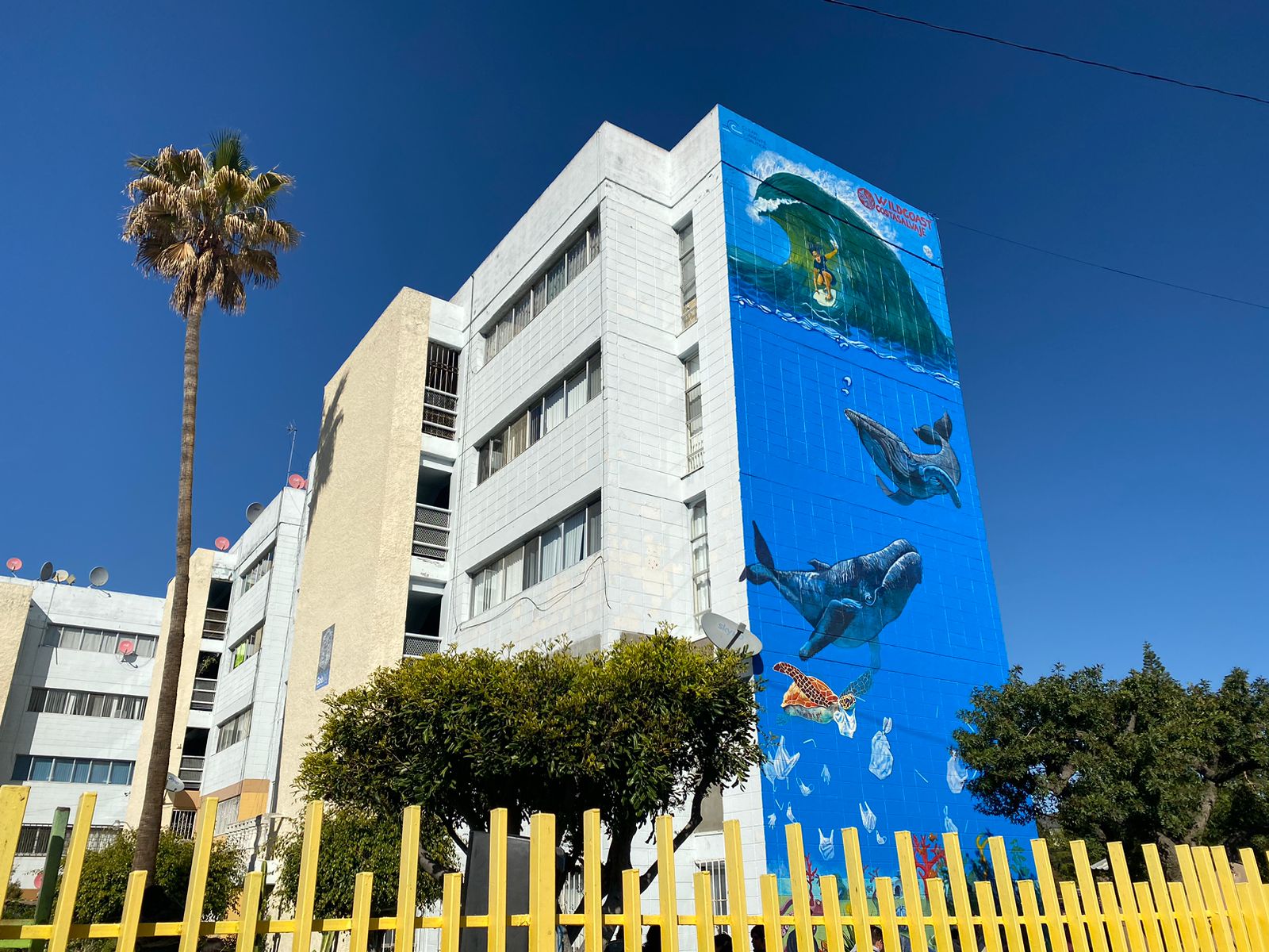 [VÍDEO] Con murales quieren concientizar a tijuanenses sobre contaminación