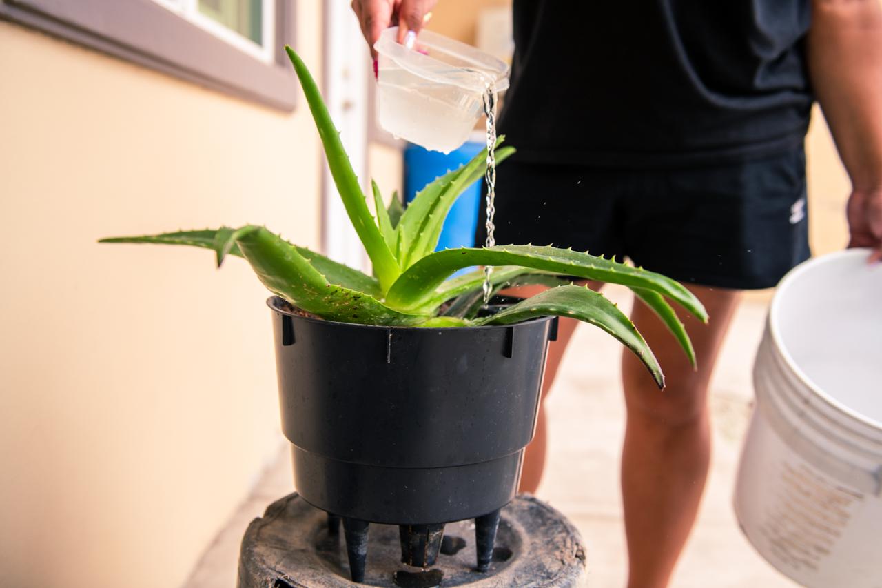 TIJUANA: CESPT pide cuidar el agua ante aumento en las temperaturas