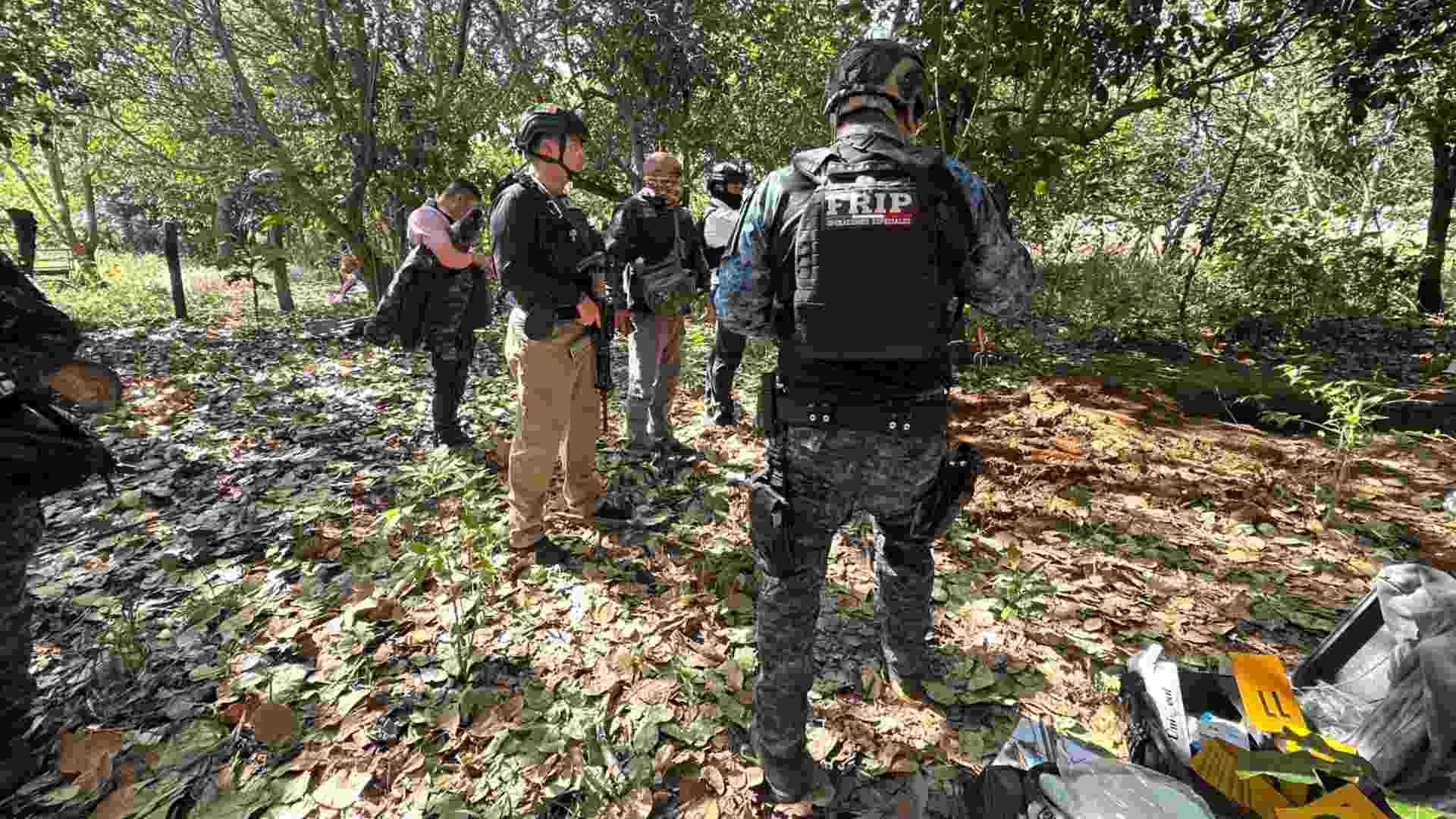 Localizan 15 cuerpos en fosas clandestinas durante operativo en La Concordia, Chiapas