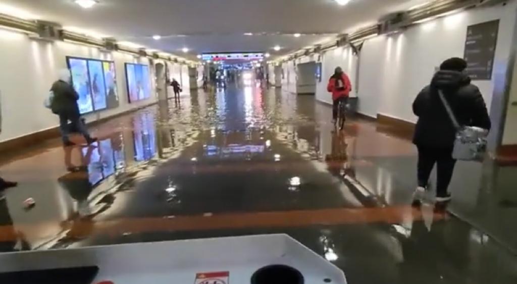 Tormenta invernal provoca la caída de árboles e inundaciones en el Metro de Los Ángeles