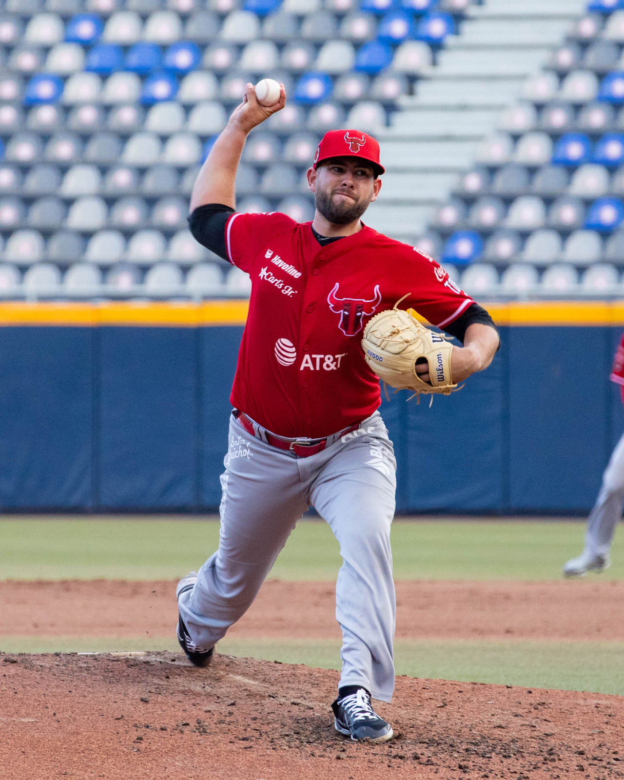 TOROS237.jpg