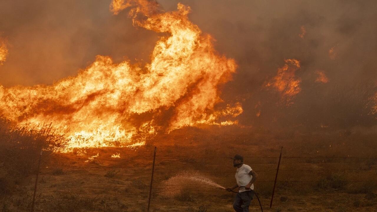 Incendios forestales en 2024: Una emergencia global