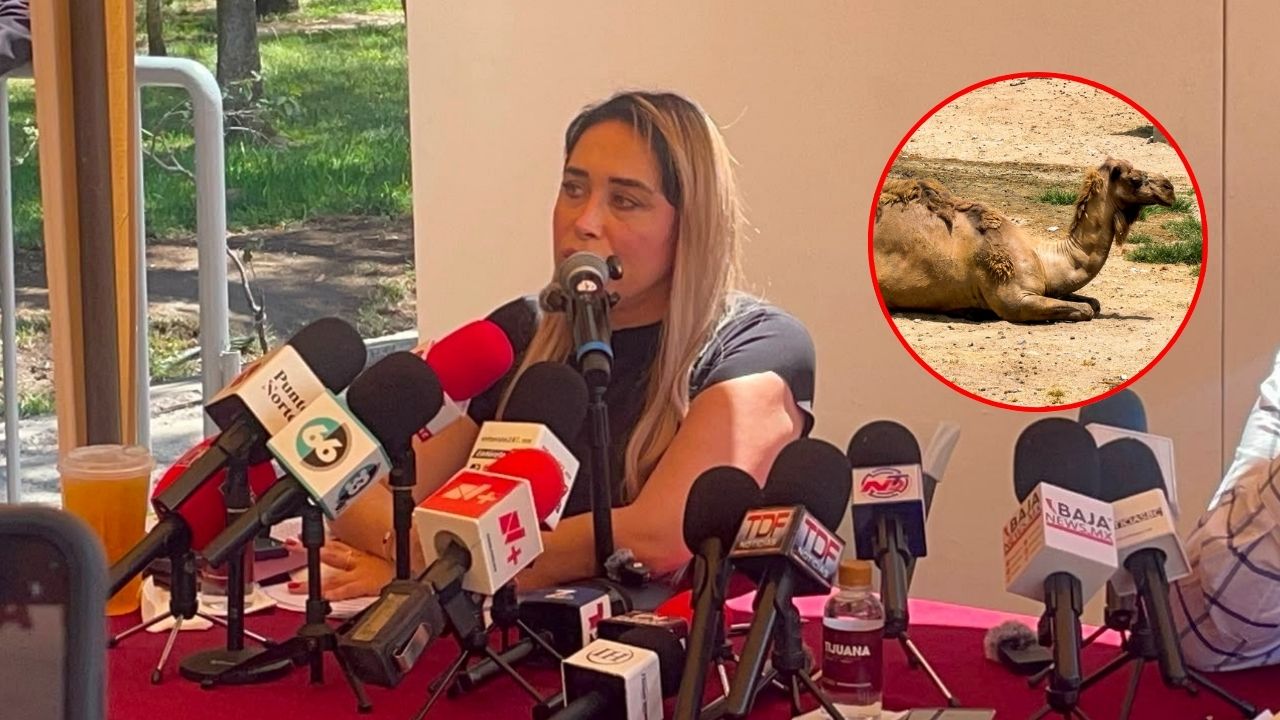 TIJUANA: Auditoría exhibe fallas en Parque Morelos; plantean traslado de animales