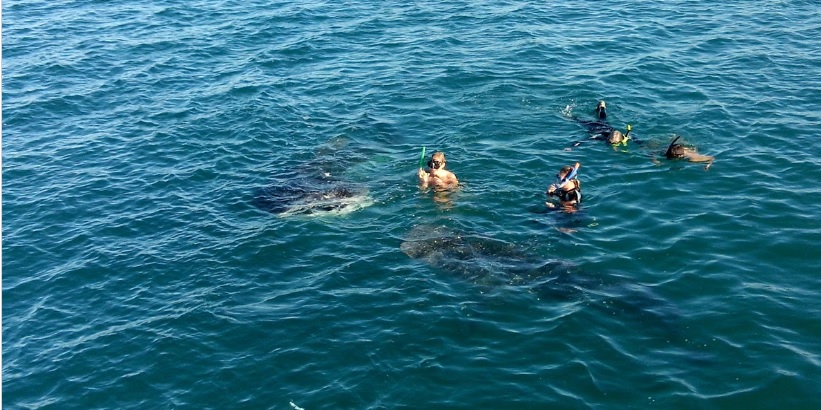 Pierde hombre la vida en playa El Sargento: BCS