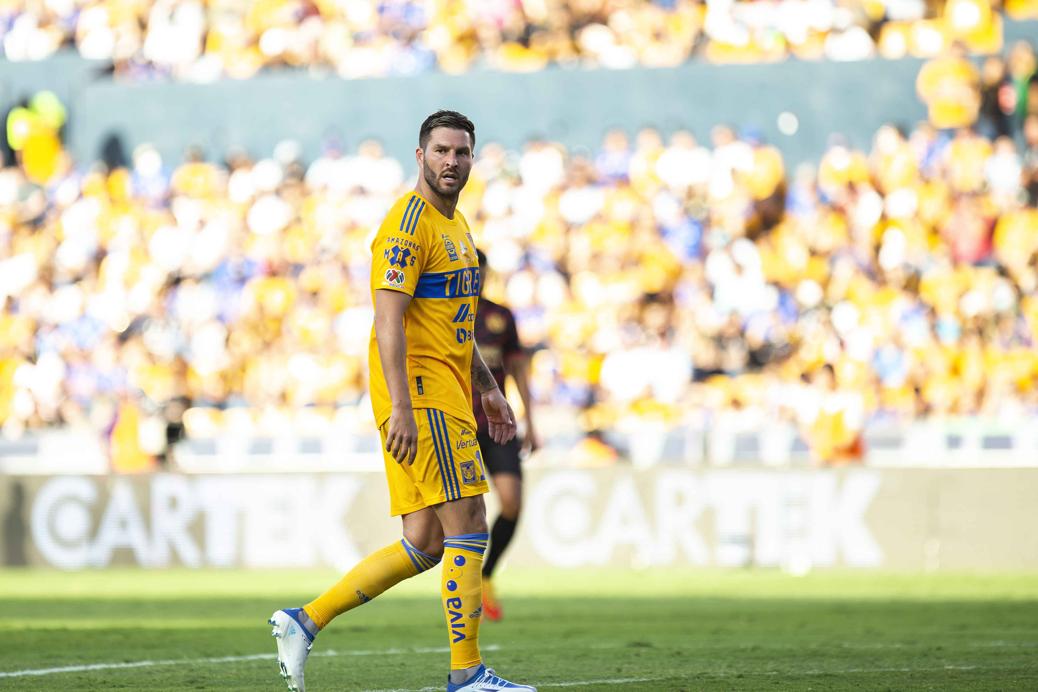 Gignac se niega a ir al Juego de Estrellas