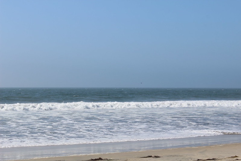 Playas de San Diego en alerta por bacterias