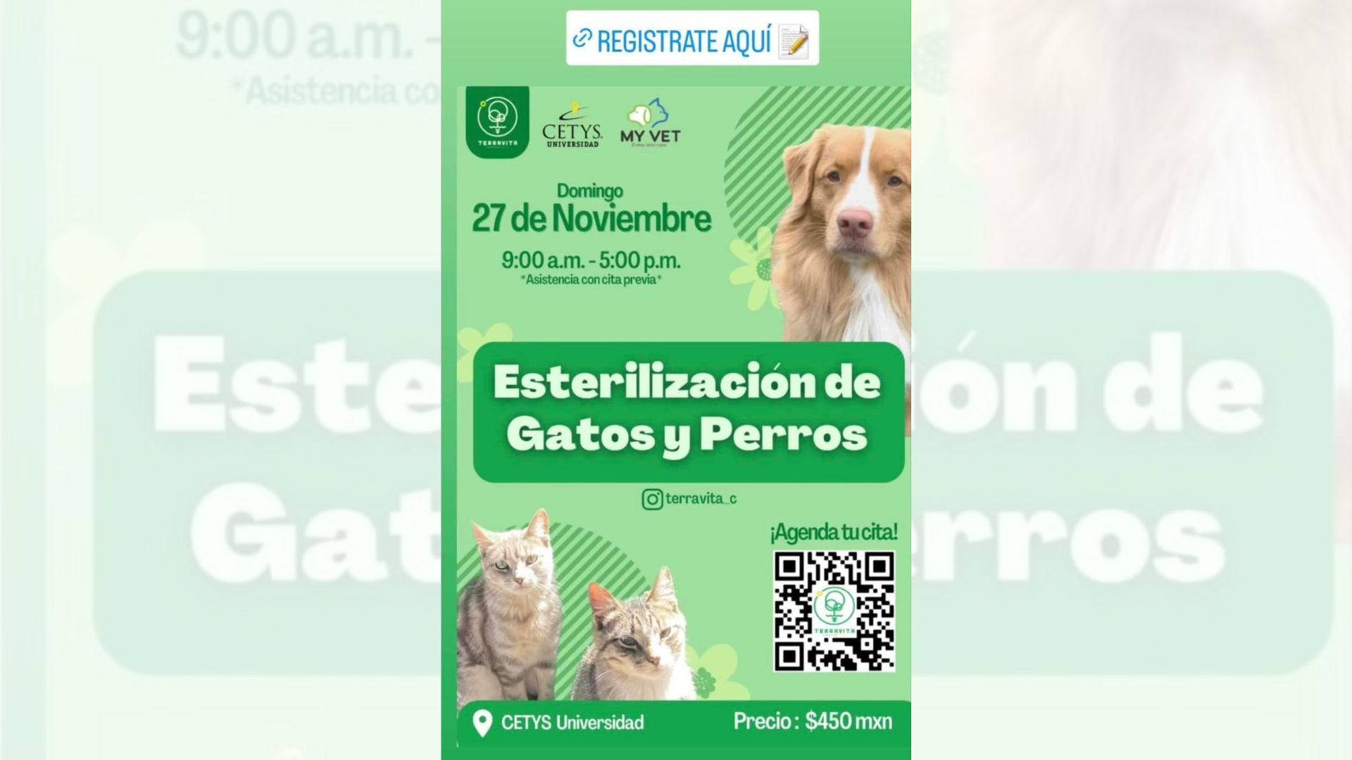 Realizarán campaña de esterilización a bajo costo en Cetys Universidad