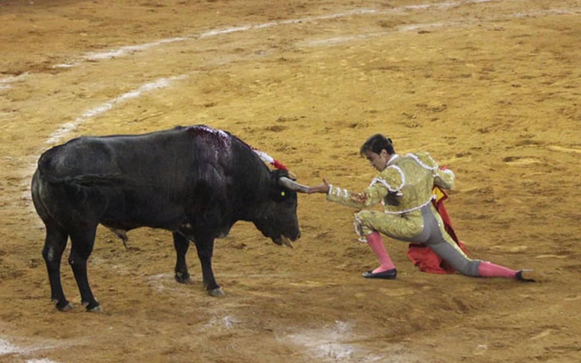 Tauromaquia en México: ¿Cultura o maltrato animal?