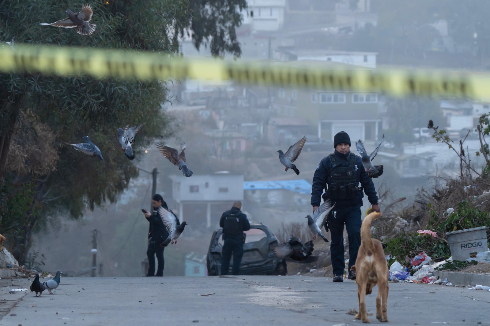 Localizan un cuerpo calcinado al interior de un vehículo en la colonia Anexa del Río