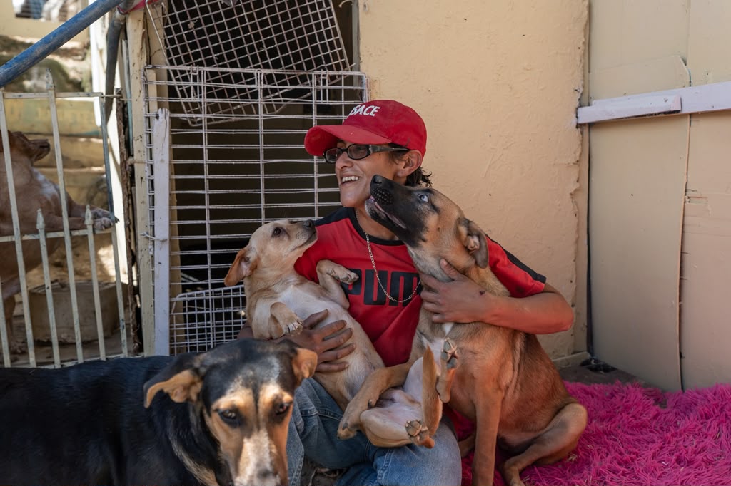 Rescatista pide apoyo para mantener hidratados a 74 perros