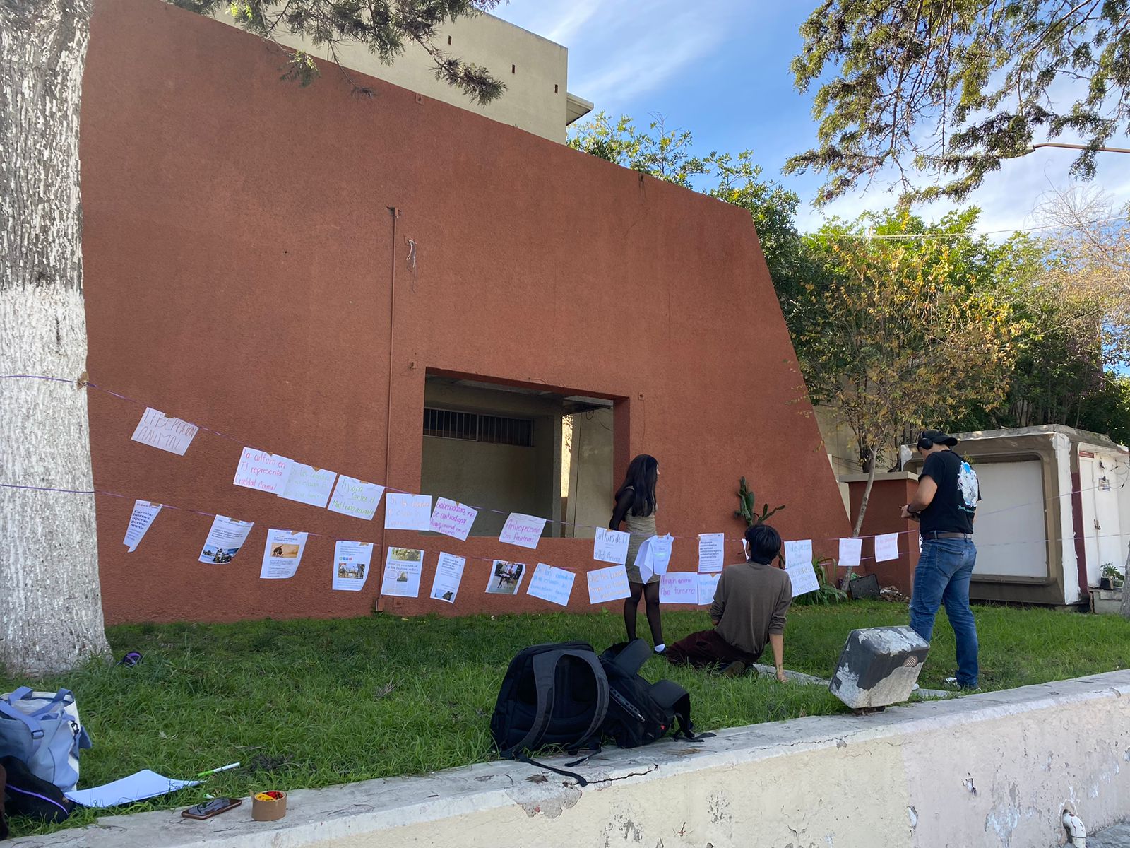 WhatsApp Image 2024-01-27 at 15.55.06 (1).jpeg