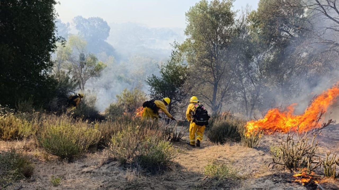 ENSENADA: Lluvia sofoca incendio en Sierra de Juárez; un rayo habría provocado el fuego