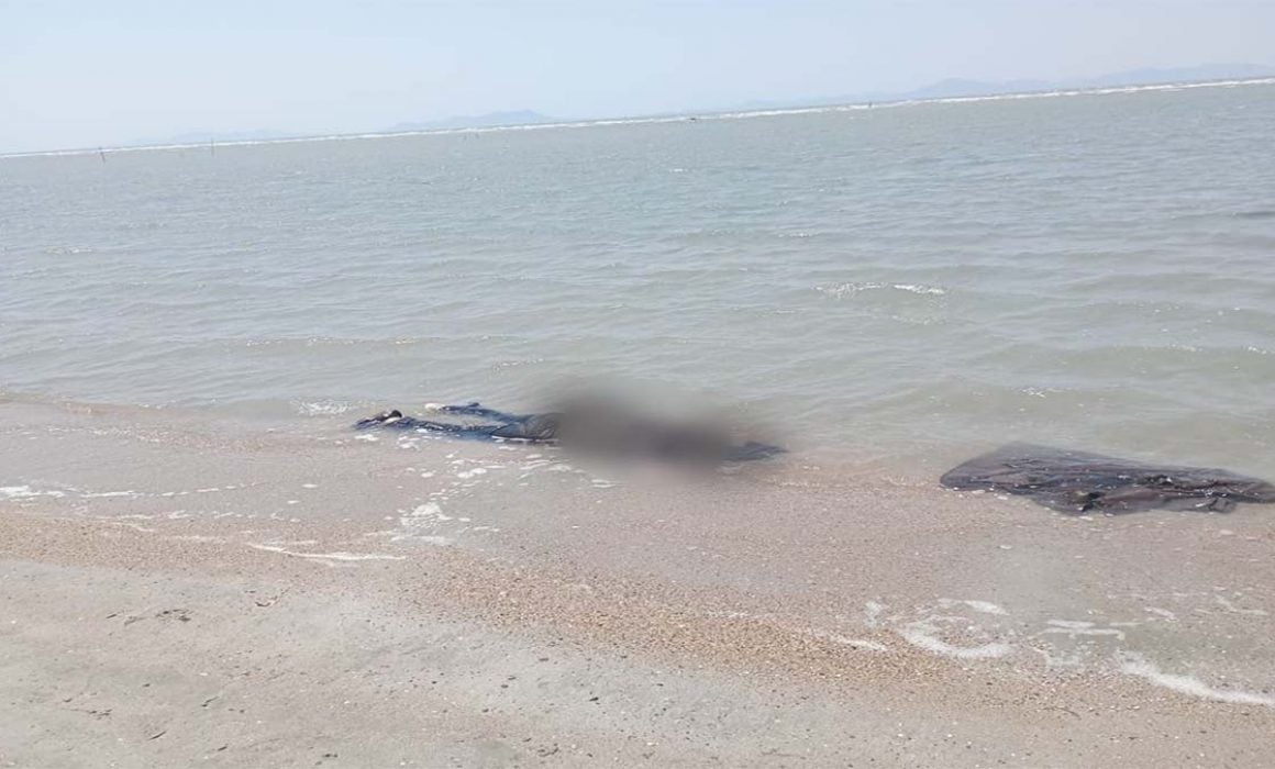 Encuentran siete cuerpos en playa de Oaxaca