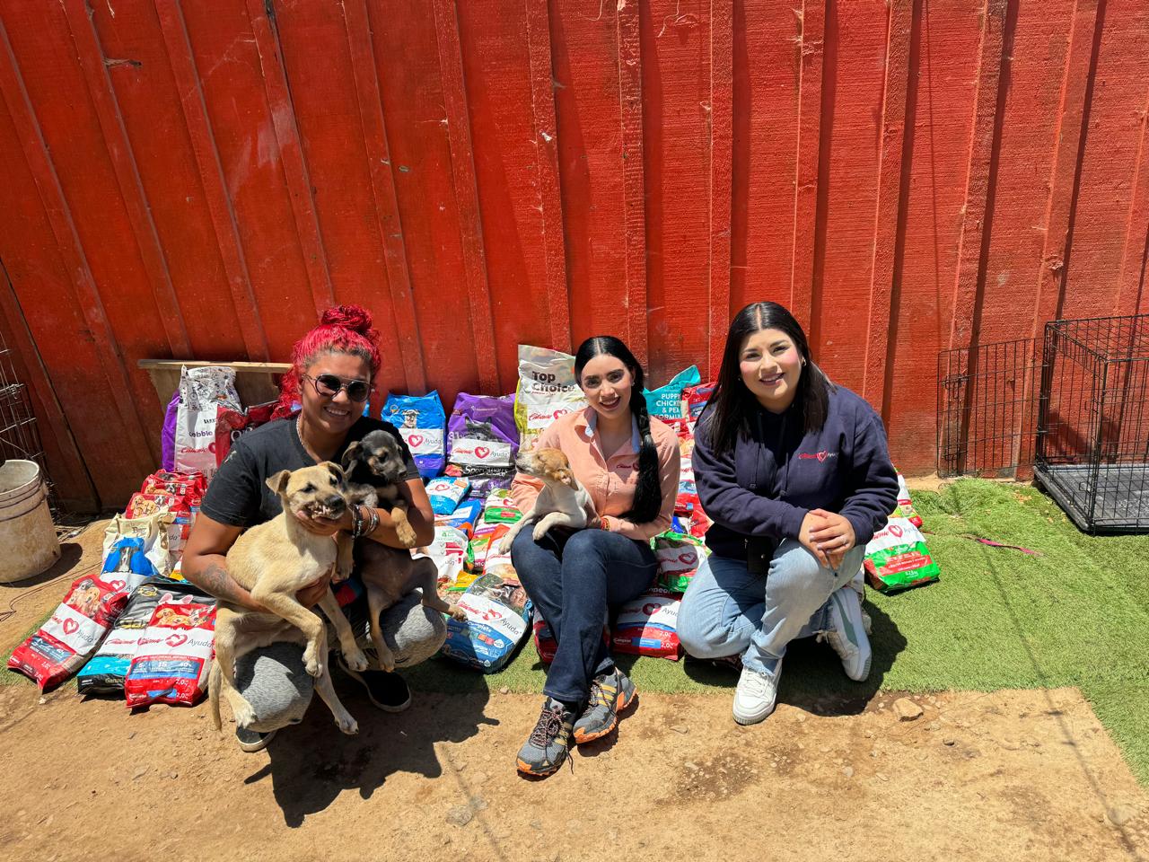 Entregó Caliente Ayuda 1200 costales de alimento para mascota en refugios