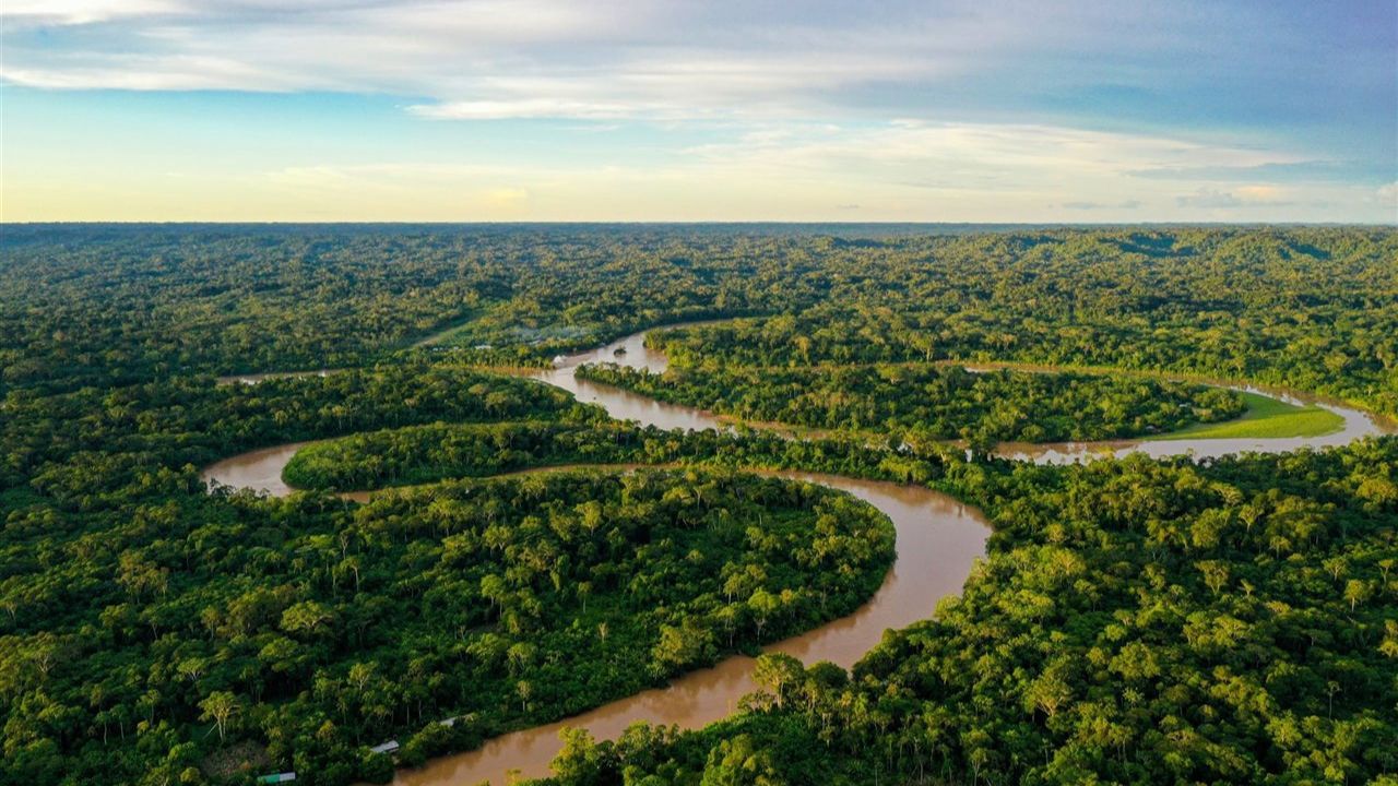 La Amazonia brasileña podría ser una potencia bioeconómica para 2050