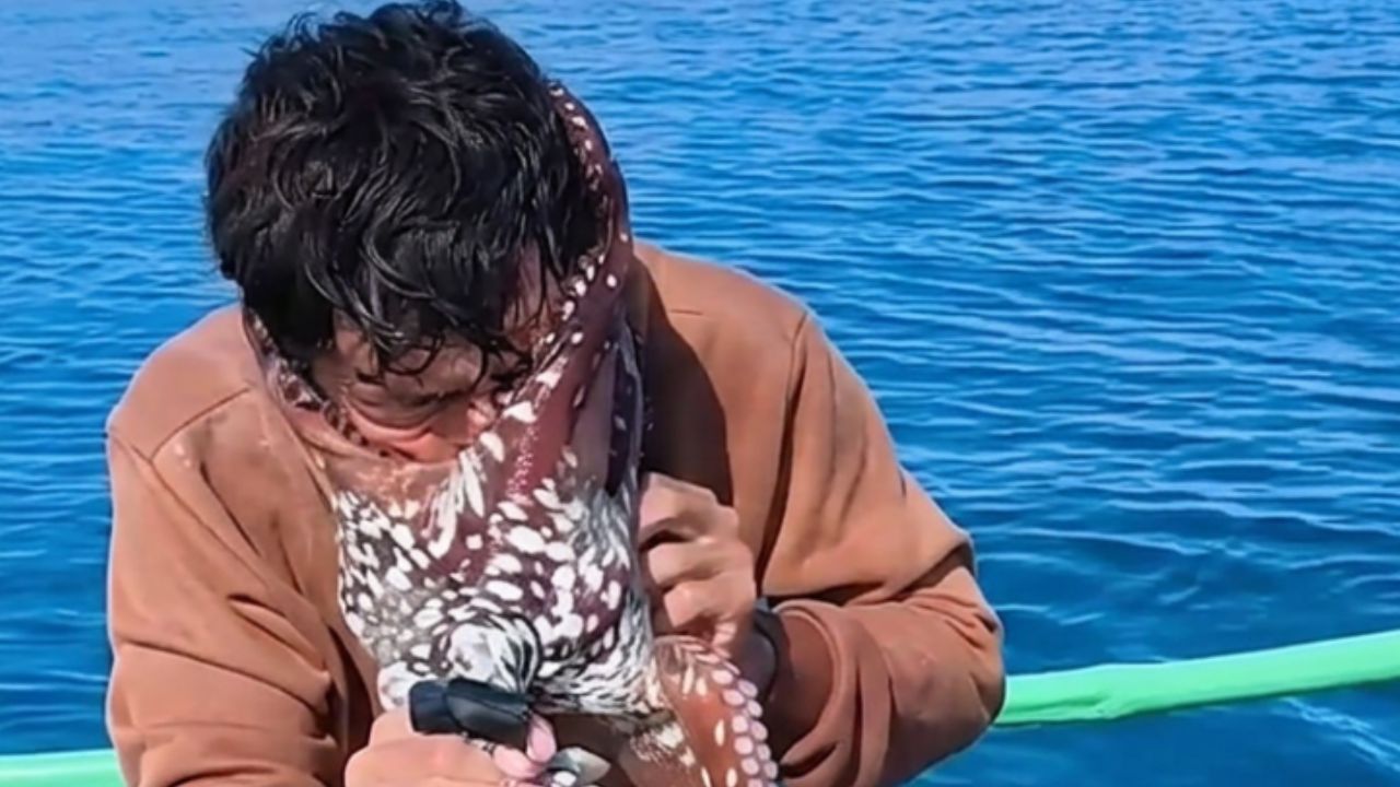 [VIDEO] Pulpo se aferra al rostro de un pescador y fue captado en cámara