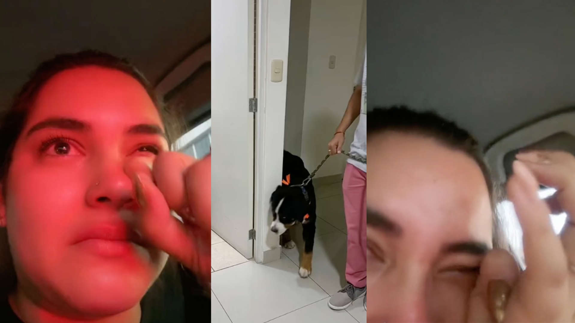 Se volvieron virales en Tiktok Ares y su dueña al dejar documentado un video del momento en que lo recogen de una peluquería para perritos, donde el corte y baño de siempre terminó siendo una tragedia.