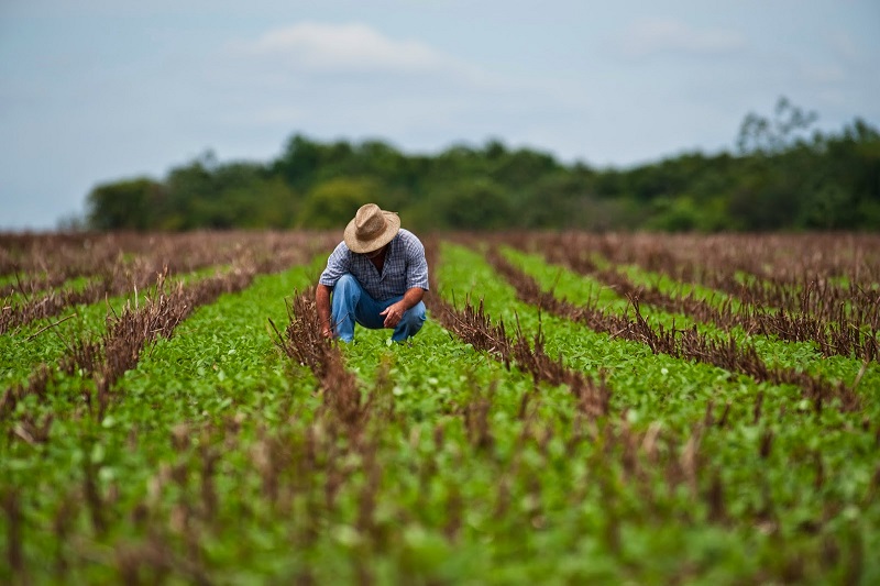 La historia de la agricultura en México